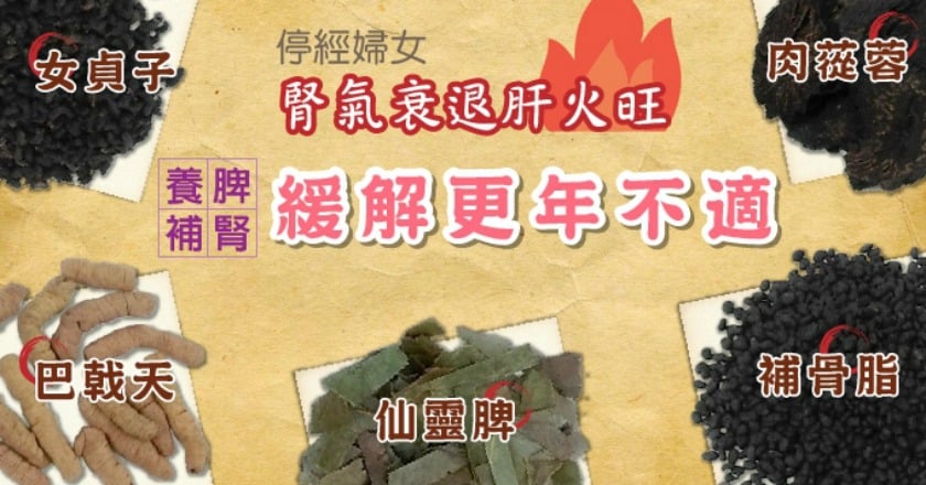 更年期腎氣衰退症狀多 中藥補養脾腎可緩解