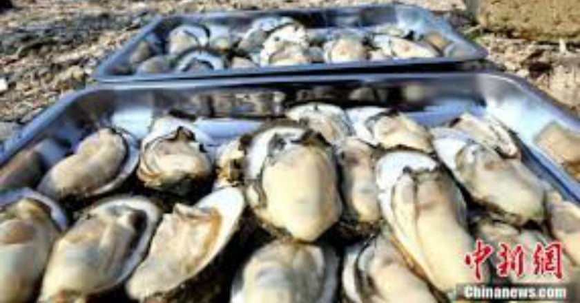 補鐵食物搭配維生素C 幫助提高鐵質吸收率