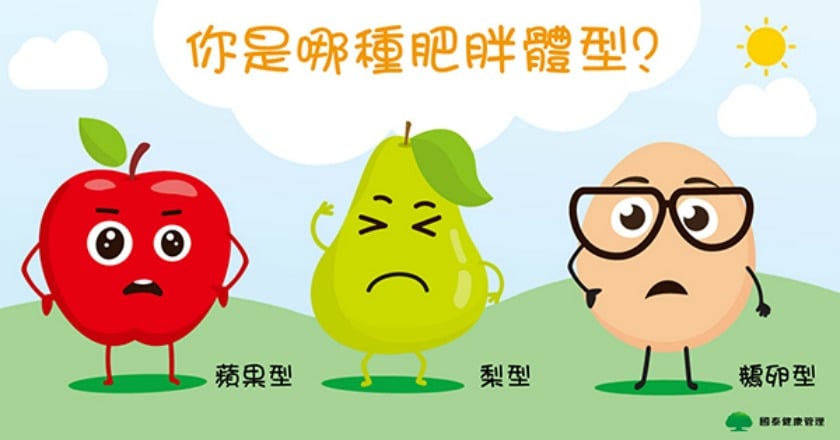 肥胖體型有3種 脂肪分布是關鍵
