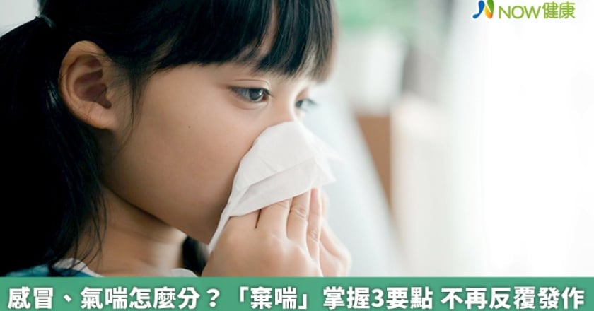 感冒、氣喘怎麼分？「棄喘」掌握3要點 不再反覆發作