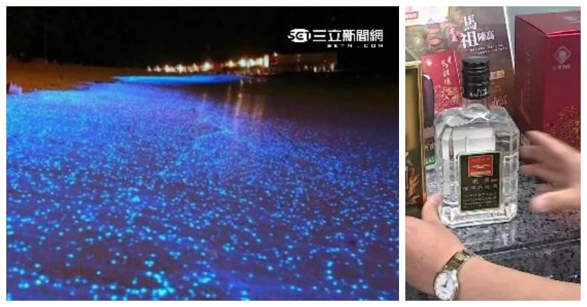 將考察藍眼淚帶回陳高「提高問政戰力」 立委：不是去玩