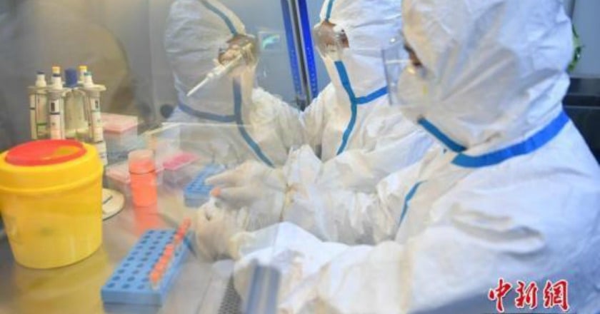 新冠病毒與抗體皆陽性？ 有抗體未必能全面對抗病毒
