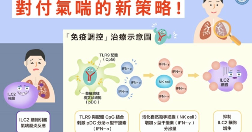 免疫調控治療類固醇抗藥性氣喘 源自青春痘菌