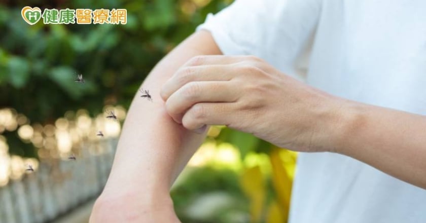 夏季傳染病來襲　小心「恙蟲」、「類鼻疽」