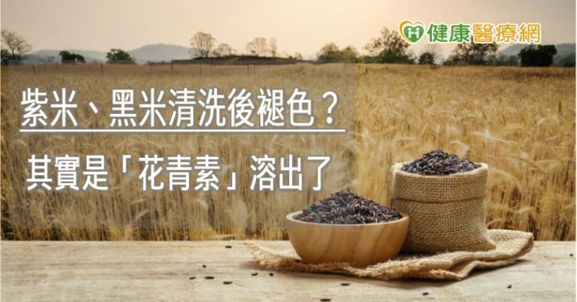 紫米、黑米清洗後褪色？　其實是「花青素」溶出了