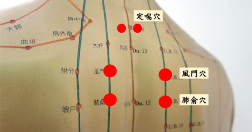 三伏貼冬病夏治 預防過敏提高抵抗力