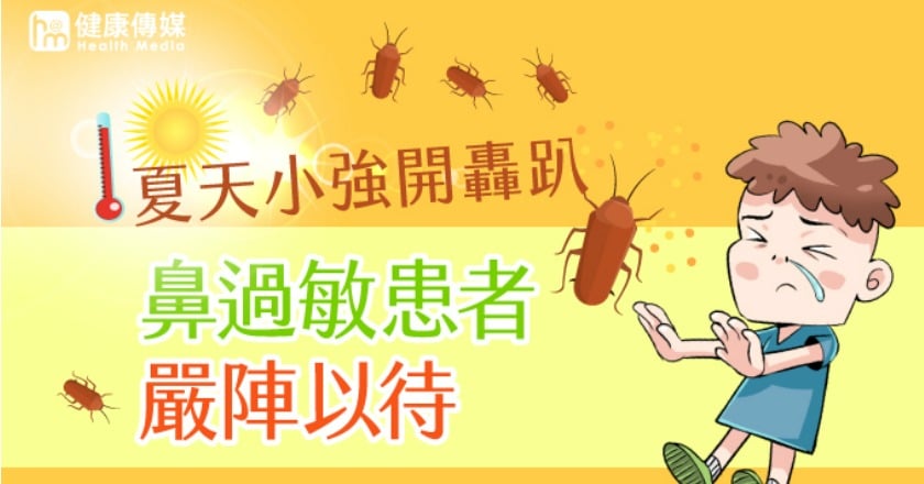 夏天小強開轟趴 鼻過敏患者嚴陣以待