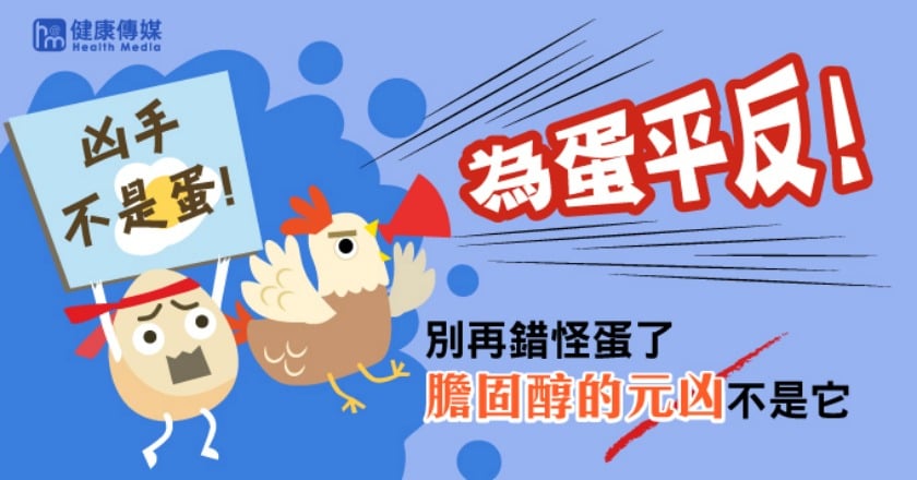 一天只能吃1顆蛋？ 專業醫師破除吃蛋迷思