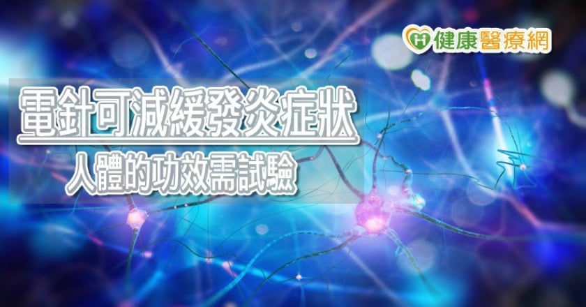 不用阻斷來緩解疼痛　研究：電針減緩發炎症狀