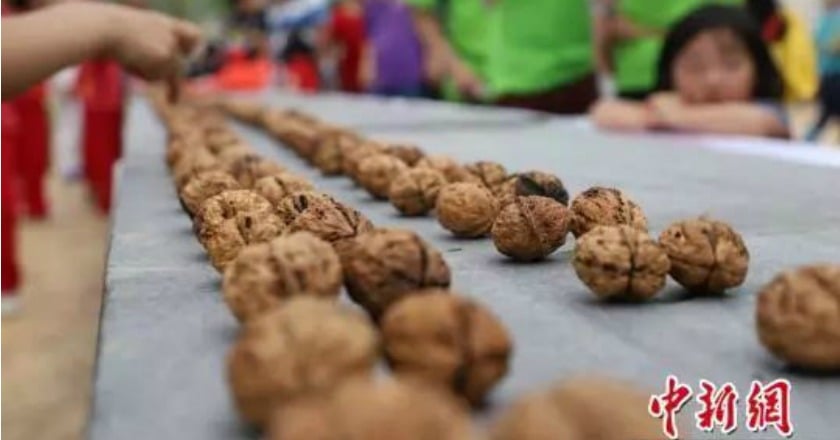 男性多吃堅果 研究：精子質量顯著提升