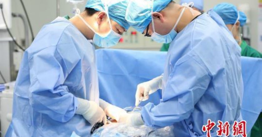 8種醫美手術將列管 須有麻醉專科醫師在場