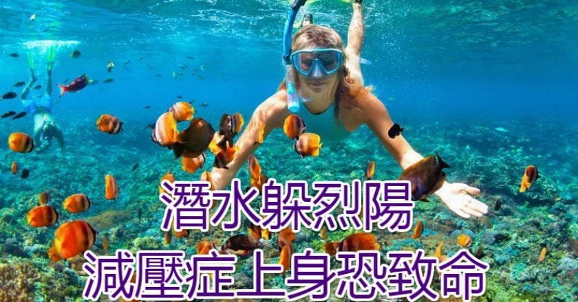 潛水躲烈陽 減壓症上身恐致命