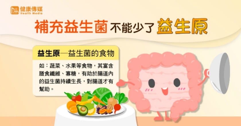 聰明補充益生菌腸保健康 網友疑惑專家來解答