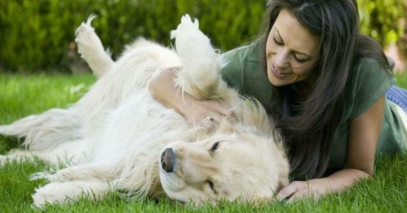 狂犬病疫苗限制解除 醫:貓狗咬傷風險低