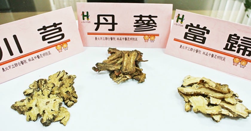 忘東忘西記性差 中醫健腦有一套