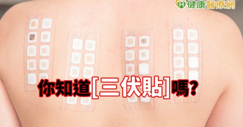 中醫「三伏貼」增抵抗力　減緩肺部過敏性疾病