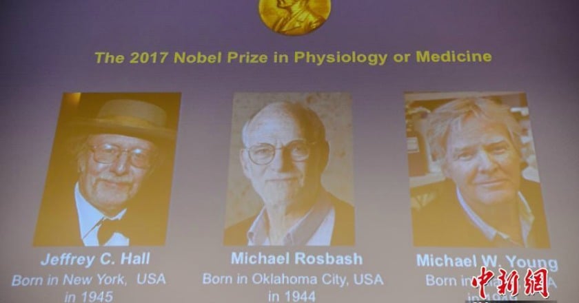 2017諾貝爾生理學或醫學獎揭曉 三名科學家分享獎項