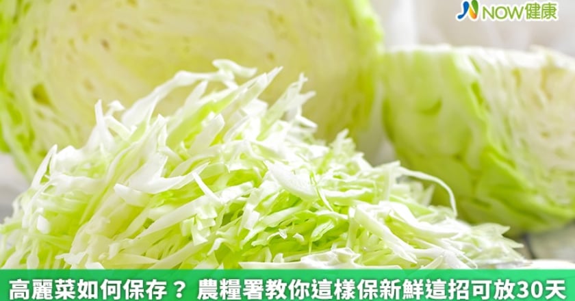 高麗菜如何保存? 農糧署教你這樣保新鮮這招可放30天