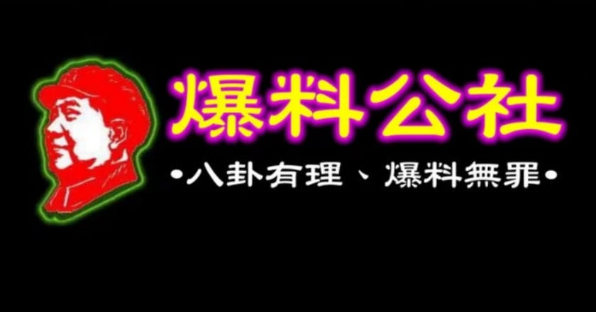 爆料公社遭疑有中資 投審會調查結果出爐