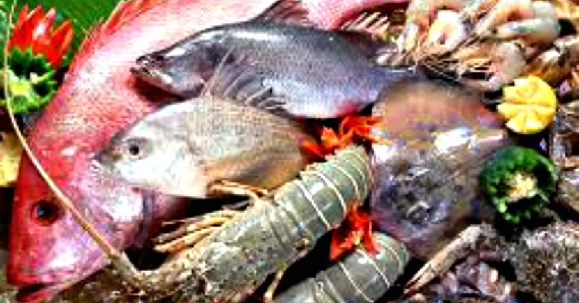 大型魚含重金屬? 食藥署:均衡攝取勿恐慌