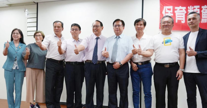 屏東水產養殖業者突破蘇眉魚復育技術 盼帶動海底觀光與保育