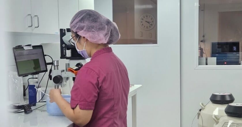 出國捐卵賺營養金恐觸犯當地法律 國健署:違法最高可罰百萬