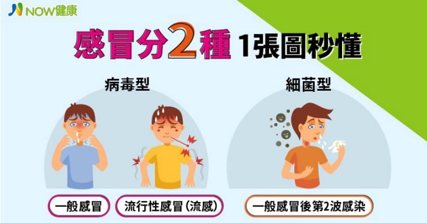感冒分2種 專家教你搞懂病毒型與細菌型有何不同