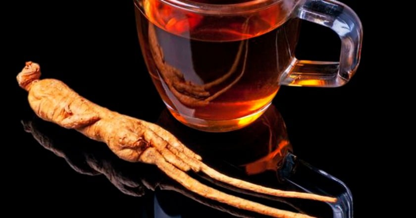 人蔘可補元氣　中醫：沒有實證才能吃