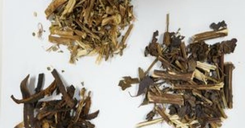 脂肪肝怎麼辦？　中醫從體質改善