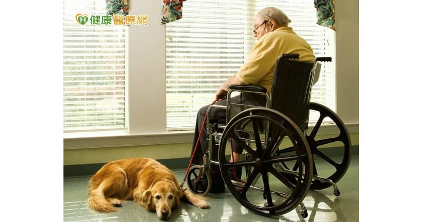 80歲老翁雙腳腫痛 原是「輪椅症候群」惹禍
