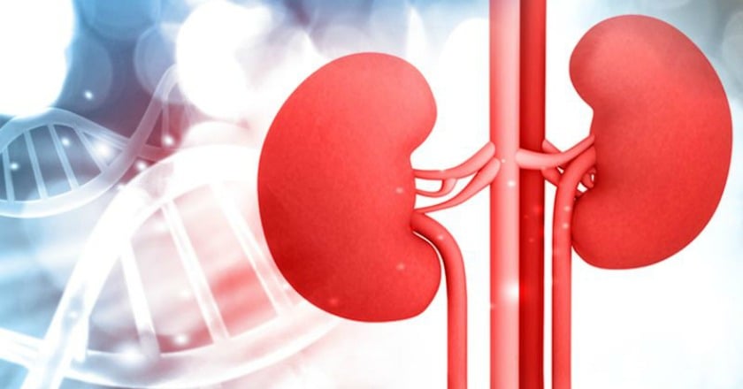 腎病、透析病友　別輕信網路謠言！