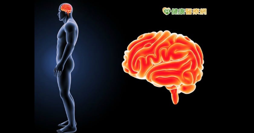 心房顫動、腦中風 血栓溶解劑+動脈取栓術救治
