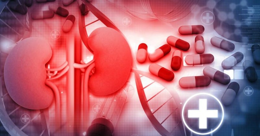 晚期腎臟病不用洗腎?! 腸道療法可搞定