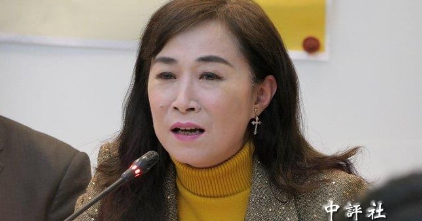 認從議事處拿回來「兩國條例」 林宜瑾：要大修