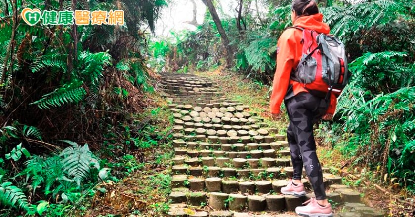 賞櫻「暴走」！　足底筋膜炎患者增　足醫：睡醒踩地會痛要當心