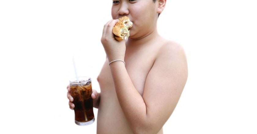 汽水+漢堡+炸雞 脂肪更容易囤積!