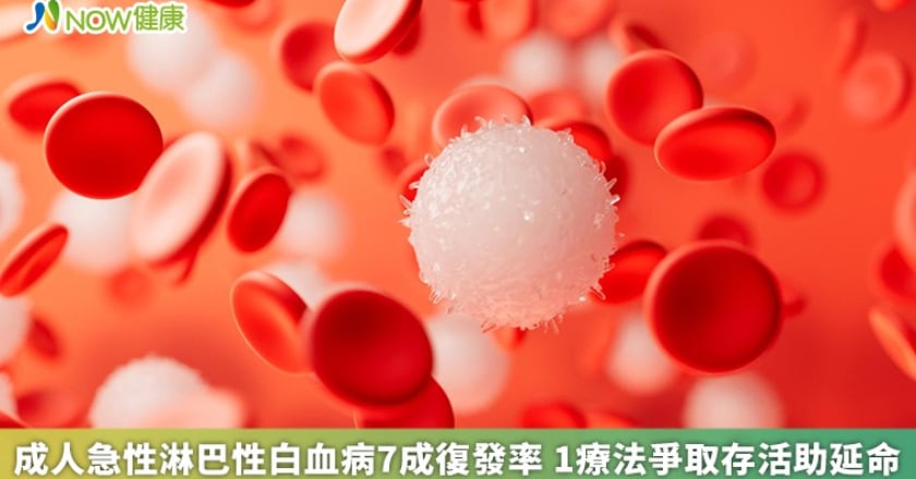 成人急性淋巴性白血病7成復發率 1療法爭取存活助延命