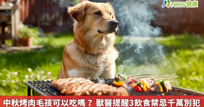 中秋烤肉毛孩可以吃嗎？ 獸醫提醒3飲食禁忌千萬別犯