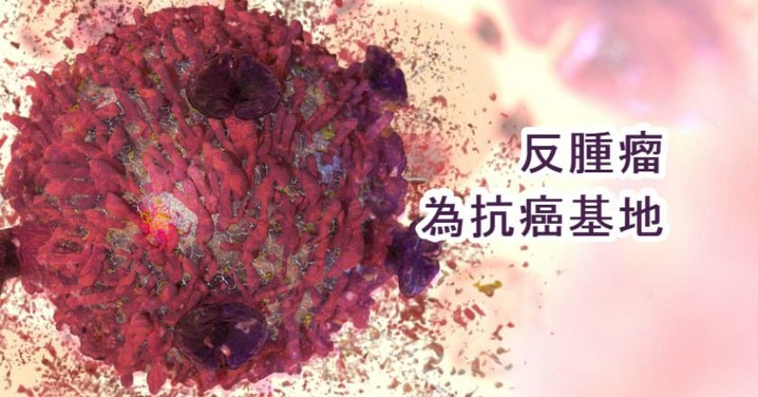 癌症疫苗新療法　腫瘤化為抗癌工廠