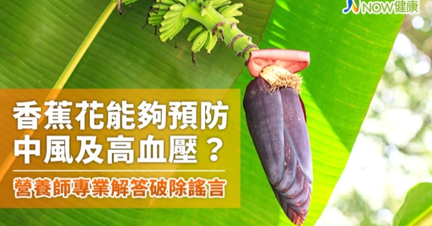 香蕉花能預防中風及高血壓? 營養師專業解答破除謠言