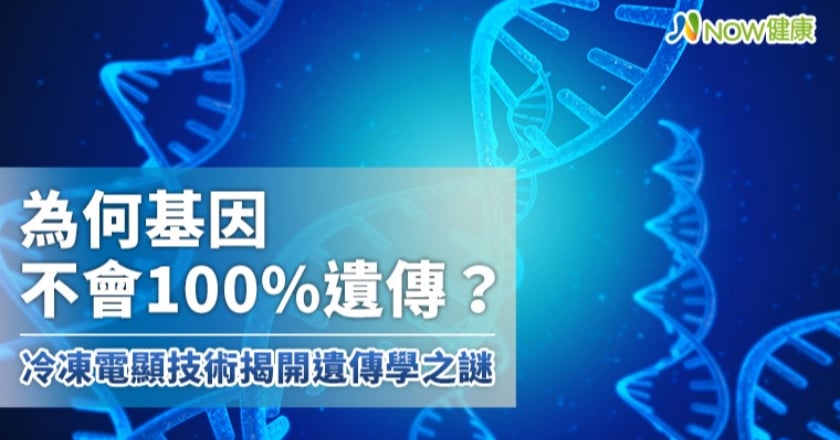 為何基因不會100%遺傳? 冷凍電顯技術揭開遺傳之謎