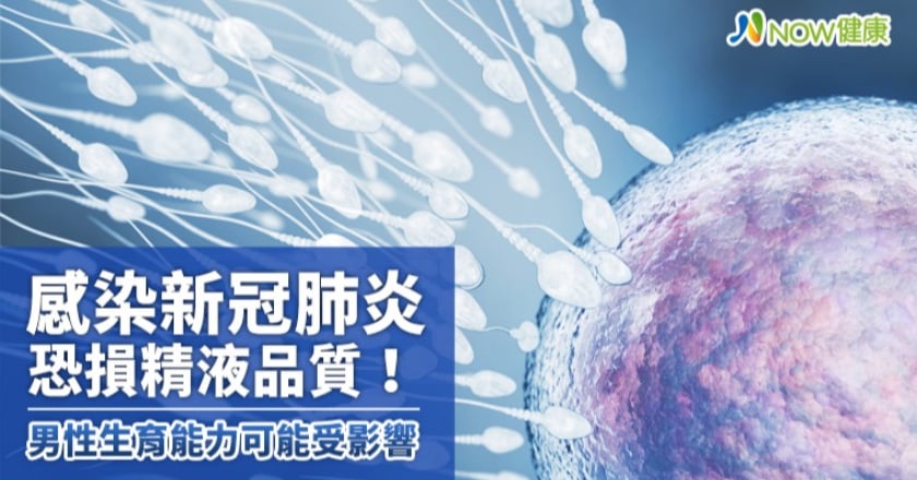 感染新冠肺炎恐損精液品質! 男性生育能力可能受影響