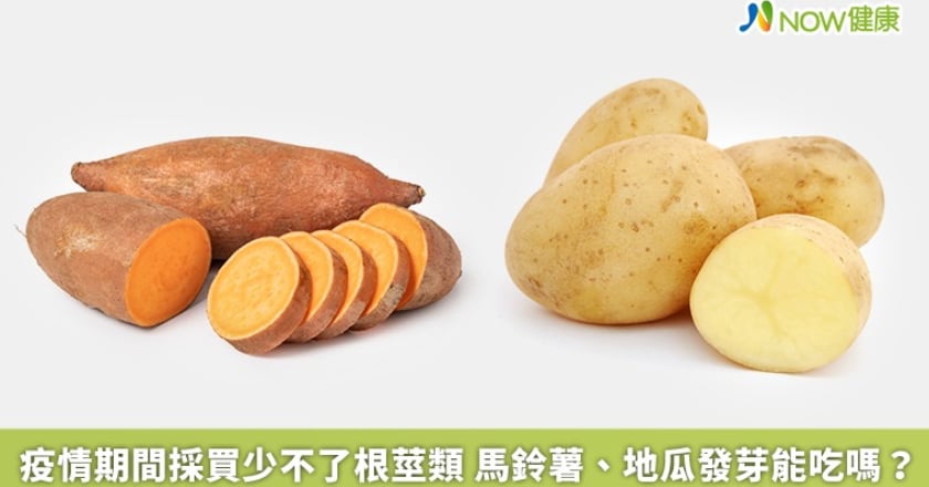 疫情期間採買少不了根莖類 馬鈴薯、地瓜發芽能吃嗎？