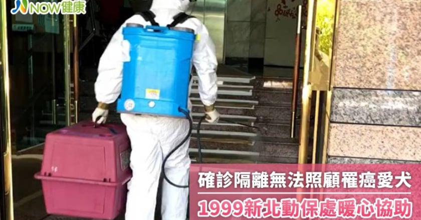確診隔離無法照顧罹癌愛犬 1999新北動保處暖心協助