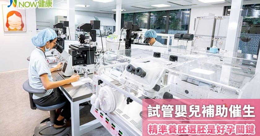 試管嬰兒補助催生 精準養胚選胚是成功關鍵