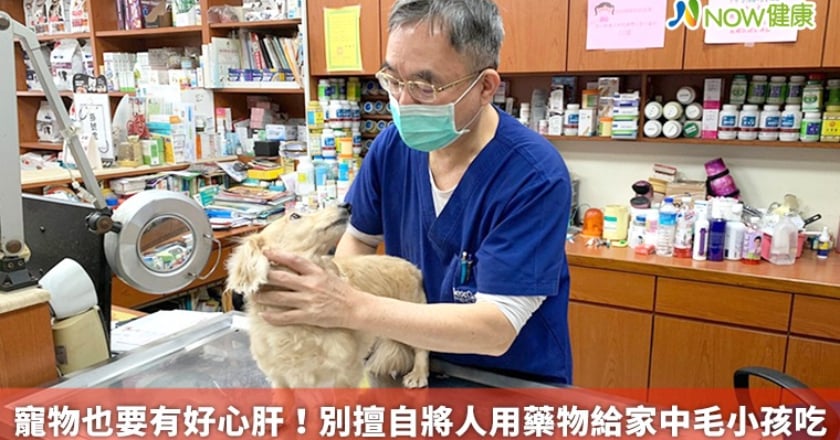 寵物也要有好心肝！ 別擅自將人用藥物給家中毛小孩吃