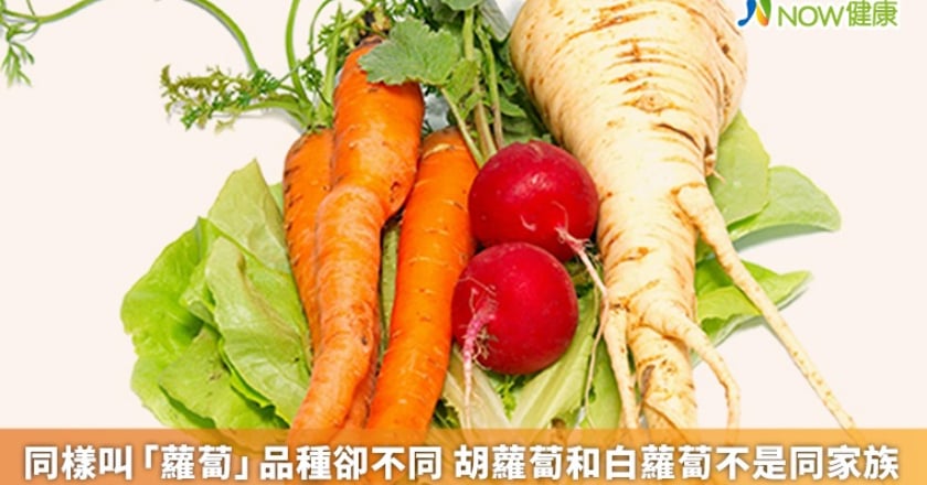 同樣叫「蘿蔔」品種卻不同 胡蘿蔔和白蘿蔔不是同家族
