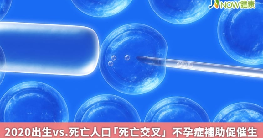 2020出生vs.死亡人口「死亡交叉」 不孕症補助促催生