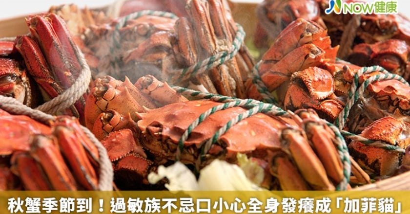 秋蟹季節到！ 過敏族不忌口小心全身發癢成「加菲貓」