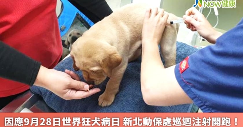 因應9月28日世界狂犬病日 新北動保處巡迴注射開跑！